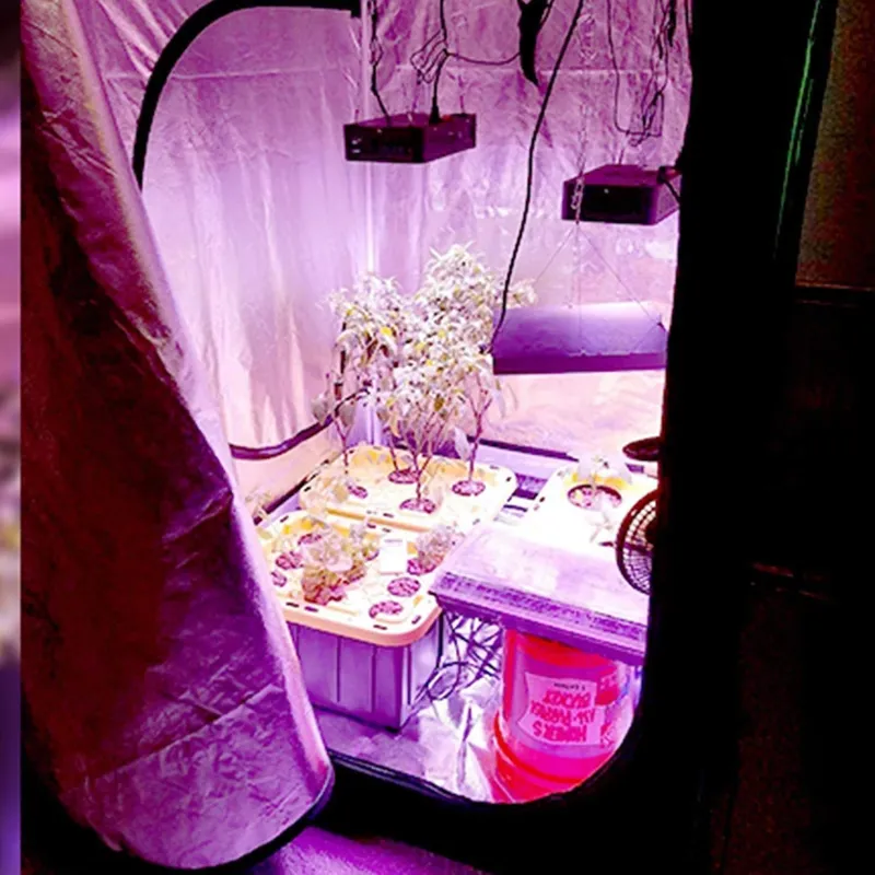 Grow Tent 4X4 - New Trend Grow Tent 4x4 for