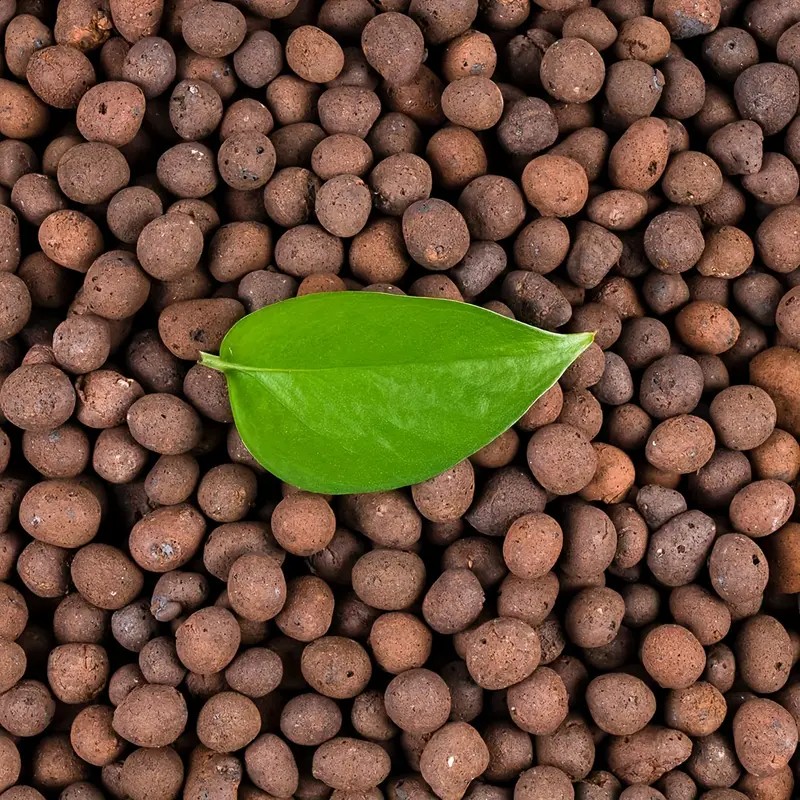 1LB Reusable Hydroponic Clay P - Clay Pebble Growing review and price