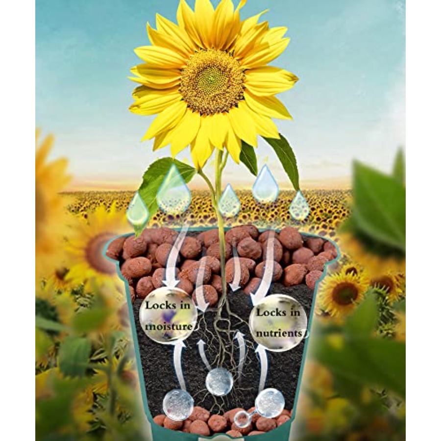 Voulosimi Clay Pebbles Hydropo - Clay Pebble Growing review and price