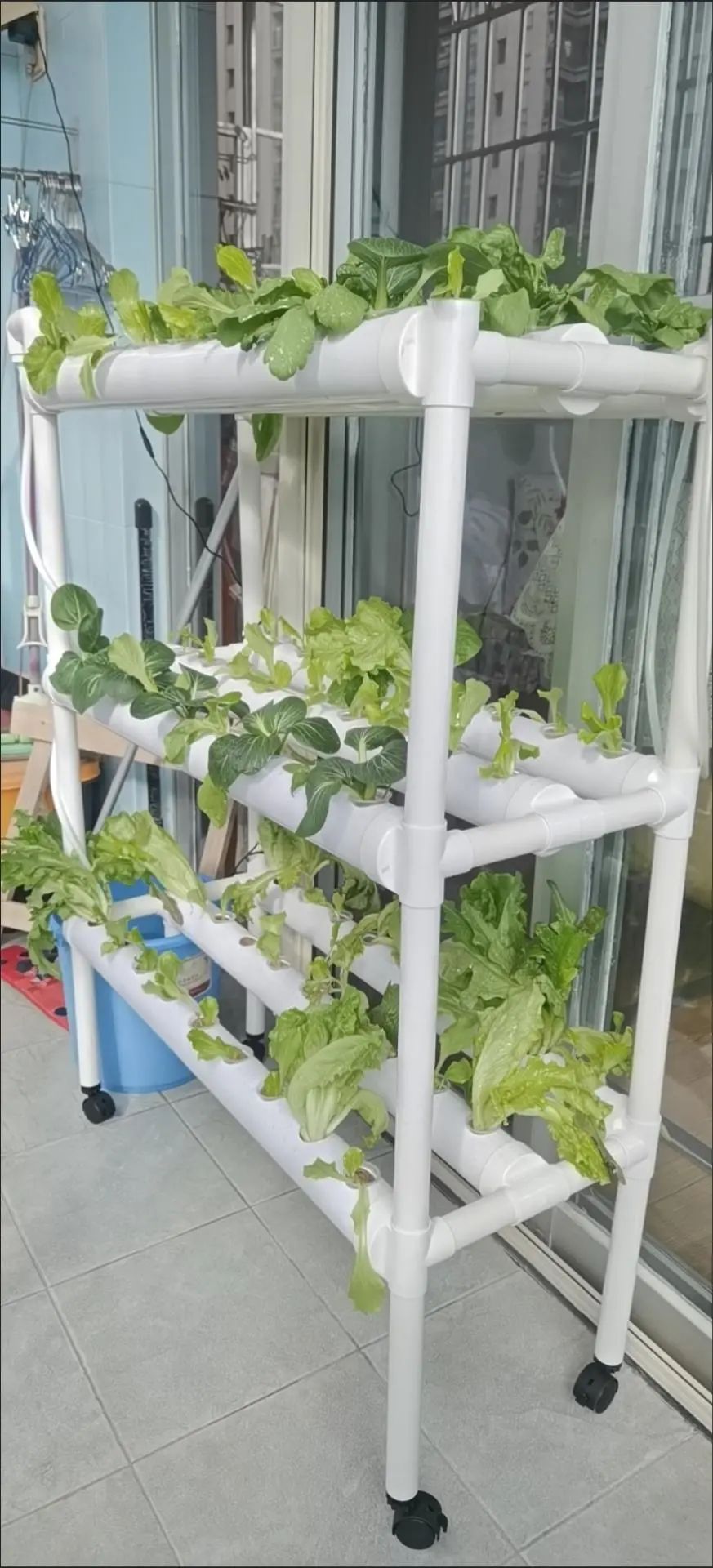 China Grow Tent Indoor Plants  - Grow Tent 4X4 review and price