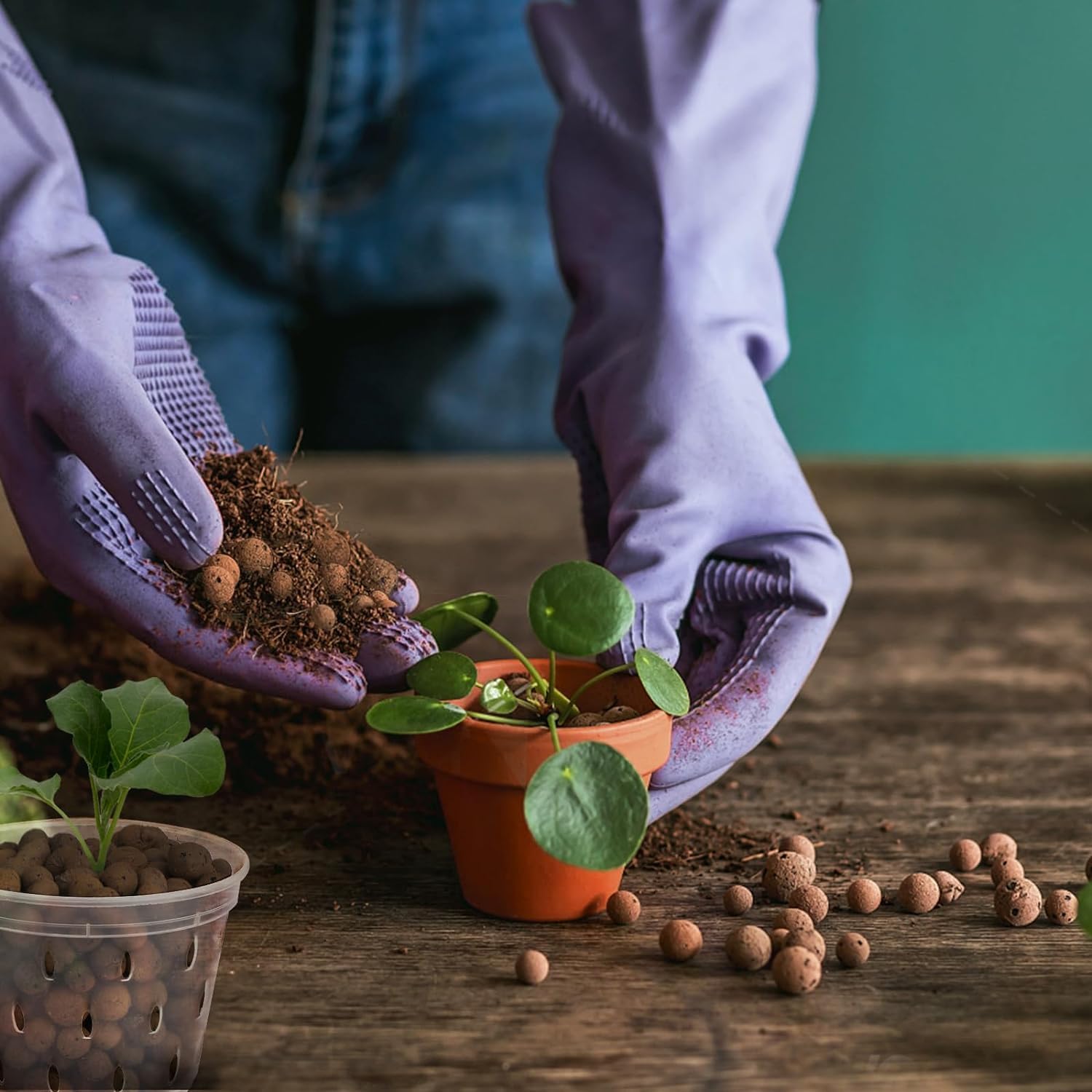 2L/1L Organic Clay Balls, Flow - Clay Pebble Growing review and price