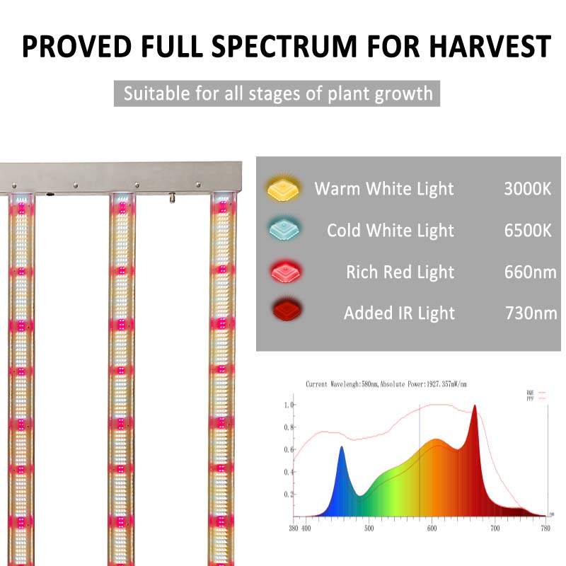 STOCK in GERMANY, Ready to Shi - Grow Tent 4X4 review and price