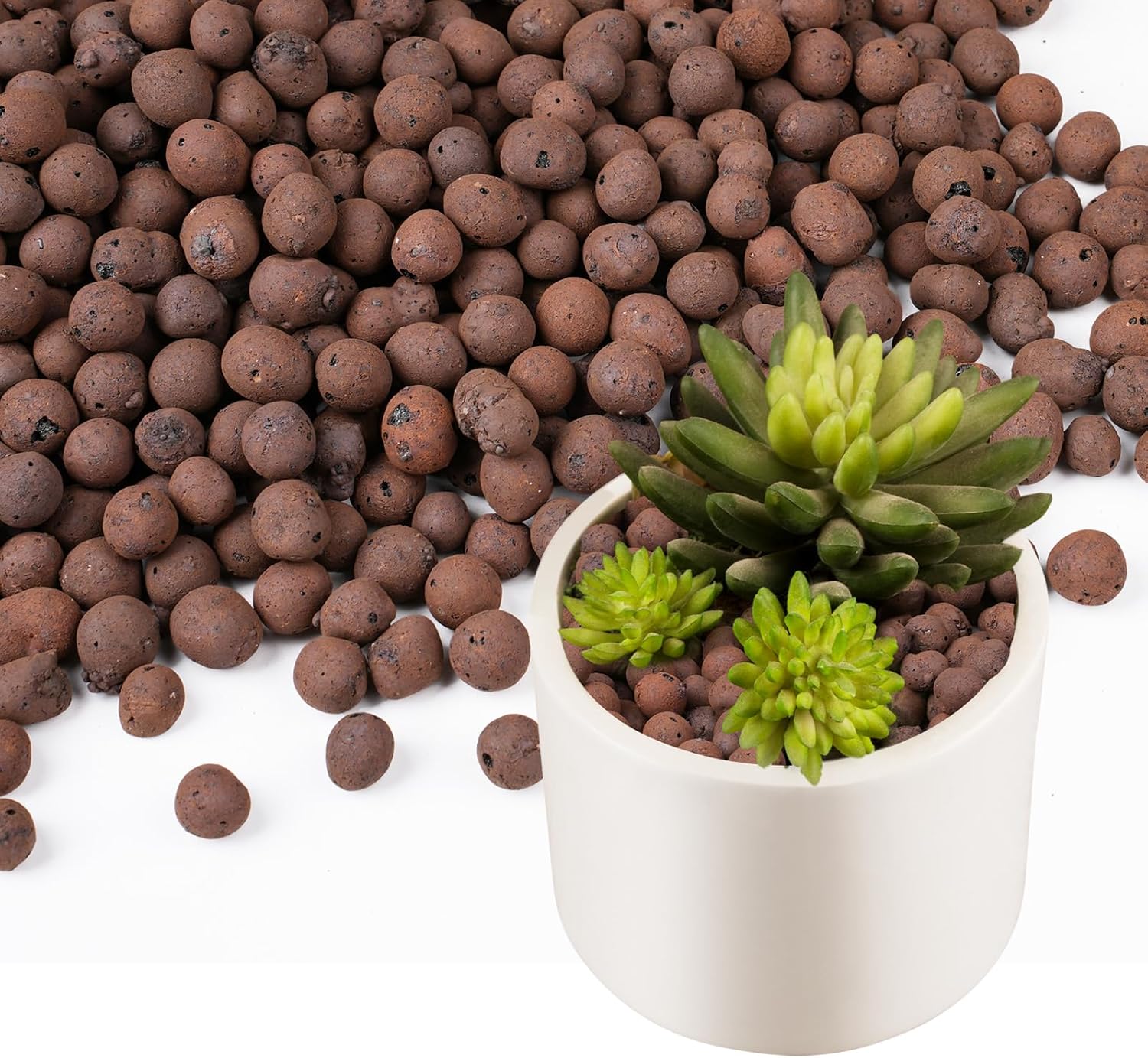 100/200G Clay Pebbles for Plan - Clay Pebble Growing review and price