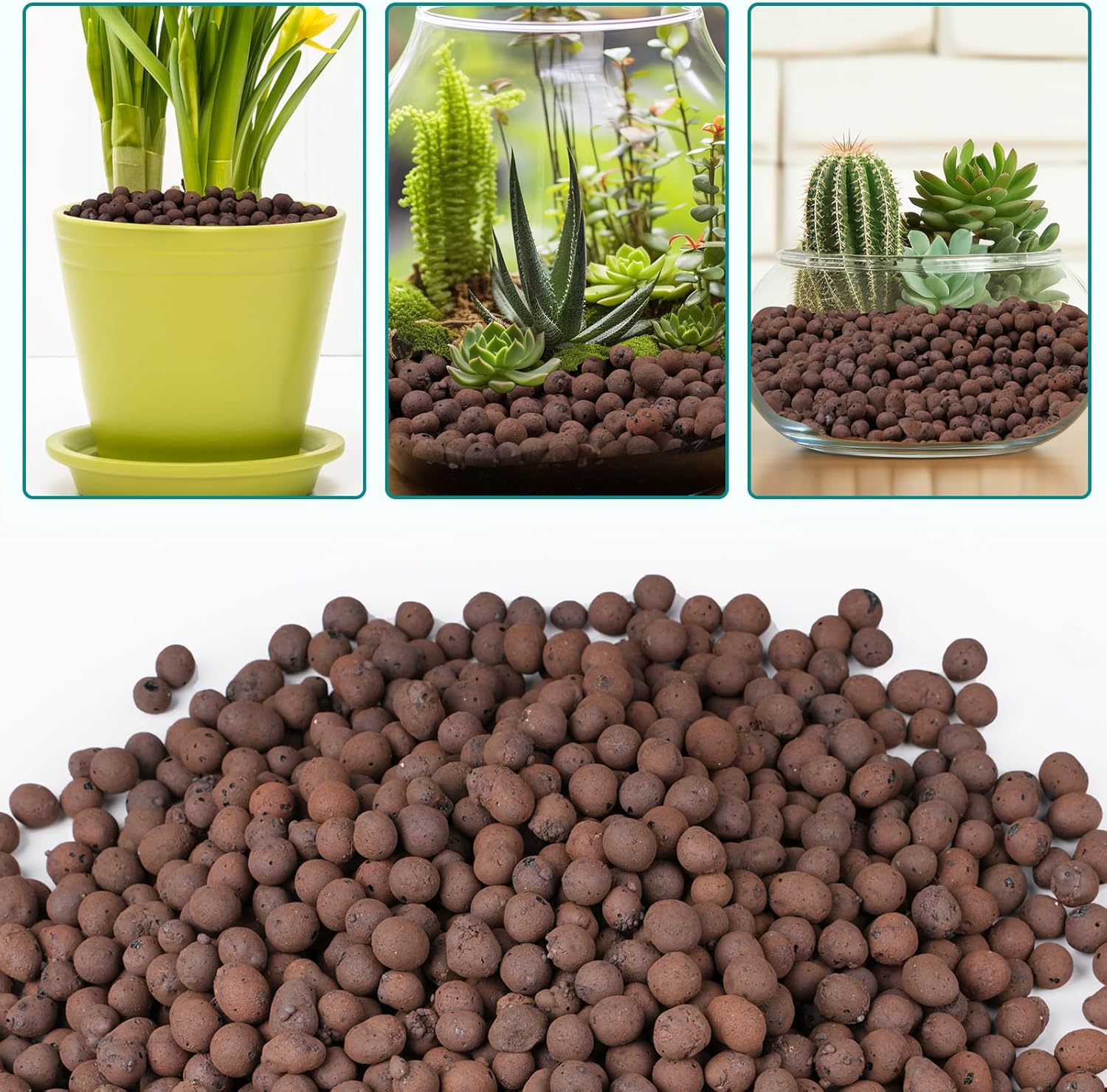 100/200G Clay Pebbles for Plan - Clay Pebble Growing review and price