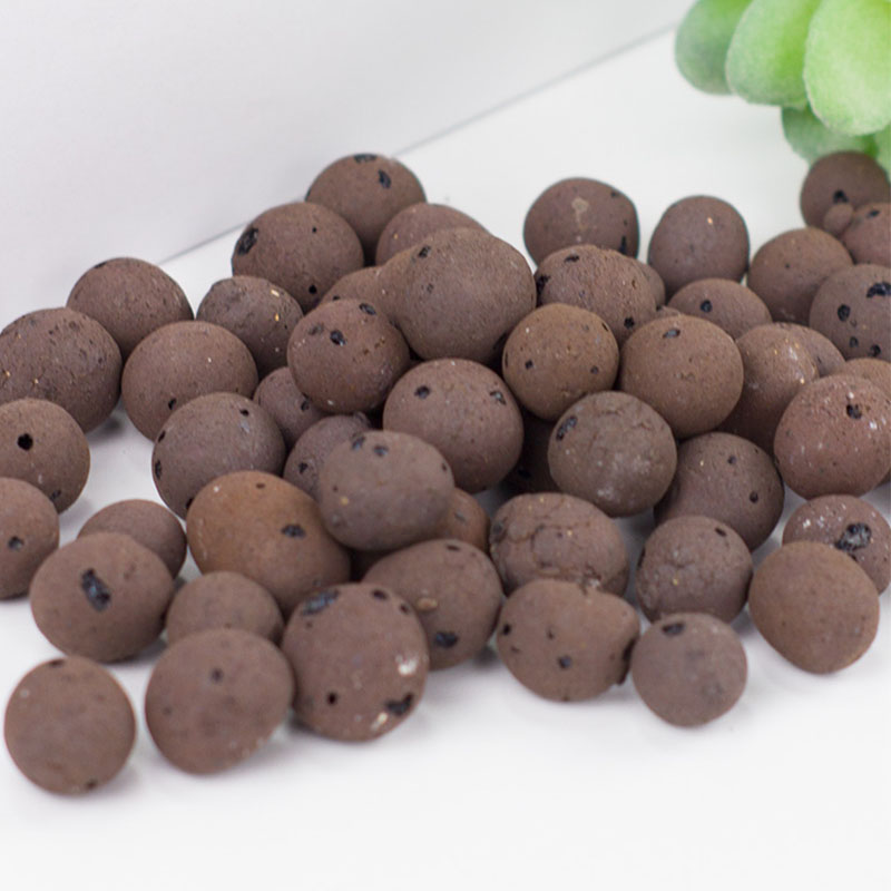 500g Organic light ceramsite C - Clay Pebble Growing review and price