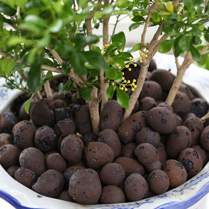 500g Organic light ceramsite C - Clay Pebble Growing review and price