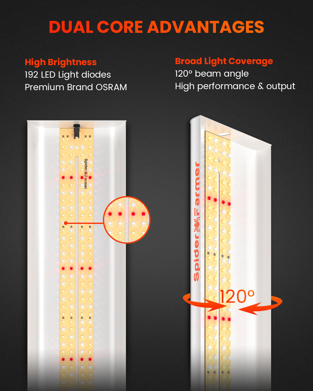 Spider Farmer SF300 LED Grow L - Grow Tent 4X4 review and price