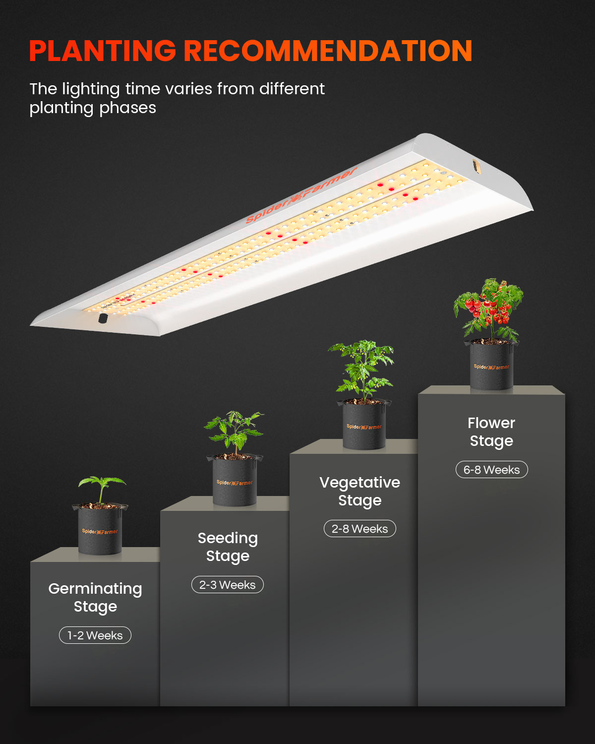 Spider Farmer SF300 LED Grow L - Grow Tent 4X4 review and price