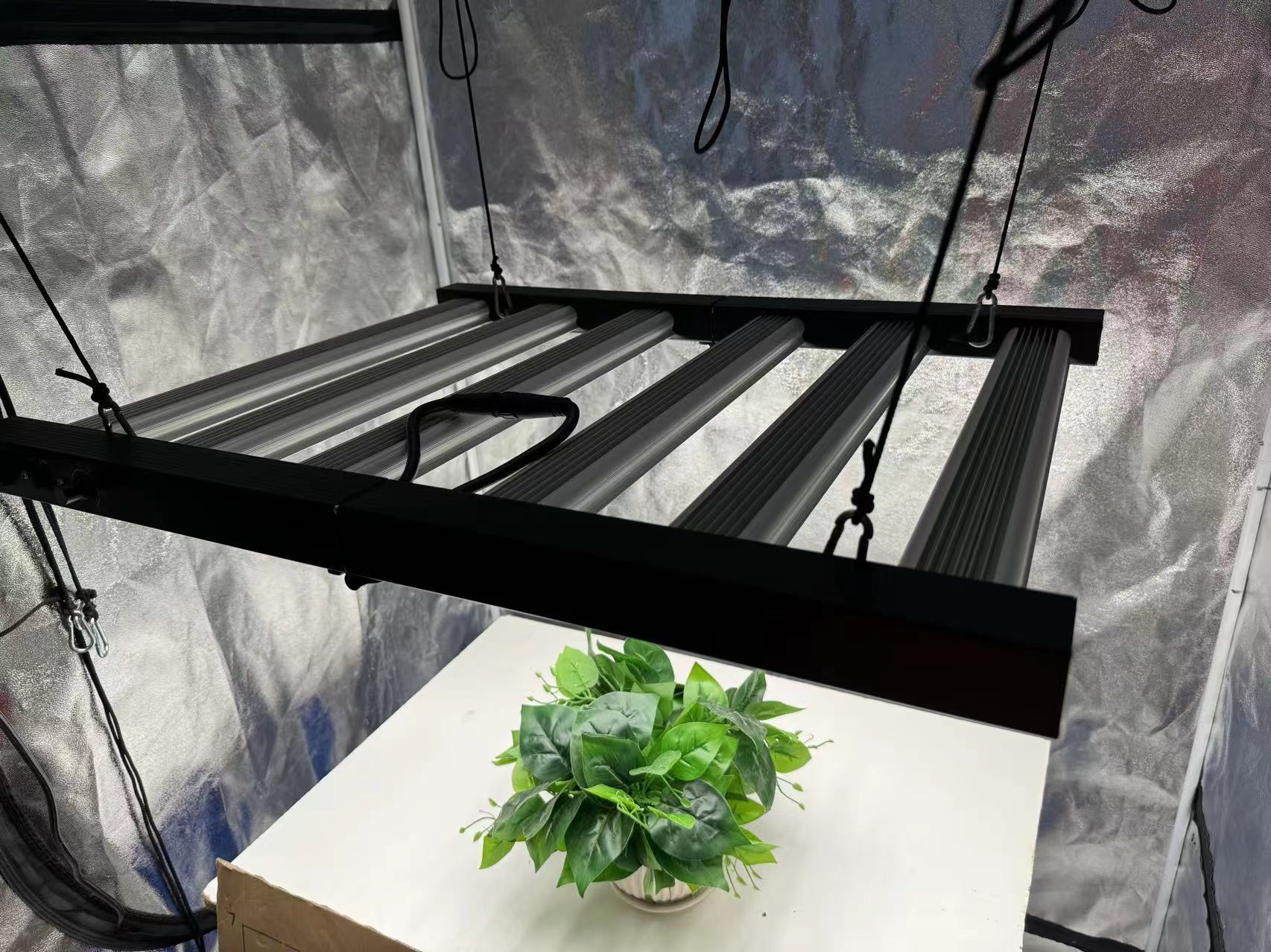 4x4 Grow Tent Complete Kit, In - Grow Tent 4X4 review and price