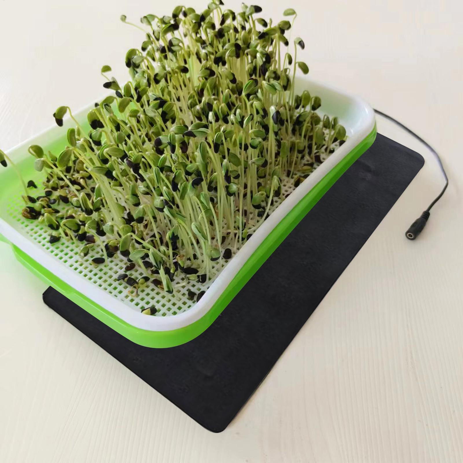 Seedling Heat Mat 5V 2A 8.5W P - Seedling Heat Pad review and price